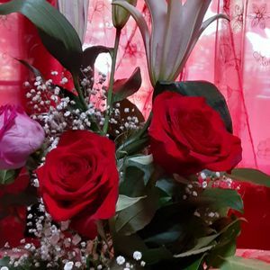 Meet your Posher, Antonia